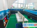 廈門康橋外國語小學2023年招生計劃