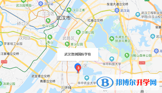 武漢澳洲國際學校小學部地址在哪里