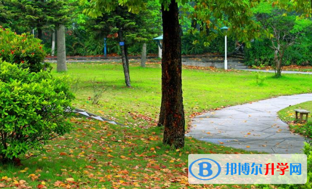 安陽新坐標國際學校2020年報名條件、招生要求、招生對象