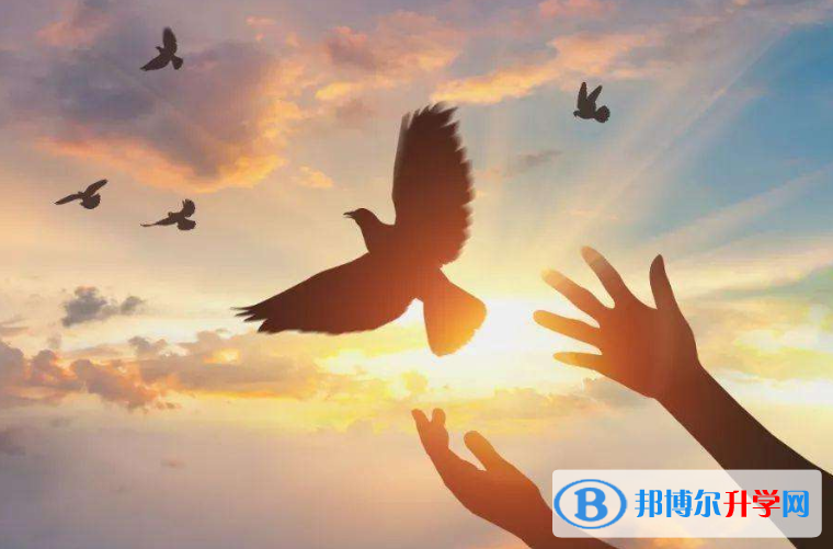  2020年曲靖查詢(xún)中考成績(jī)用名字可以嗎