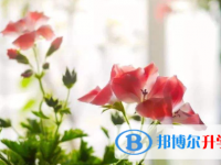 2020年曲靖中考報名需要帶什么