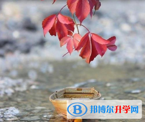 2020年曲靖中考報(bào)名號(hào)
