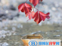 2020年曲靖中考報名號
