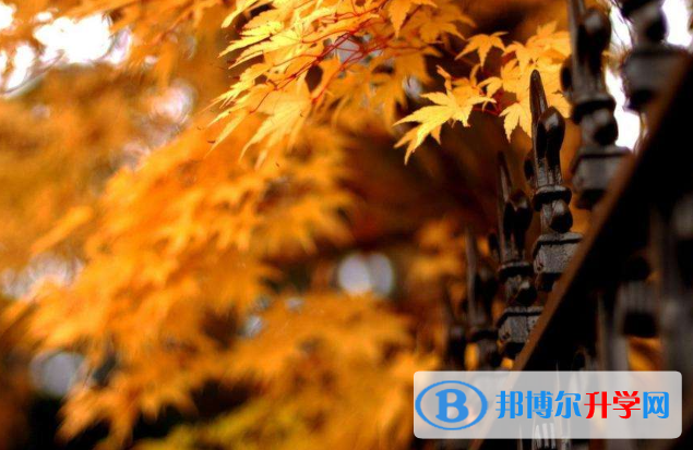 2020年曲靖中考服務(wù)應(yīng)用平臺(tái)