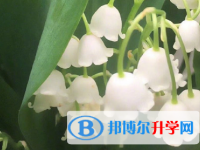 2020年玉溪中考考點有哪幾個