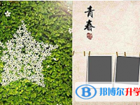 2020年玉溪中考網登錄