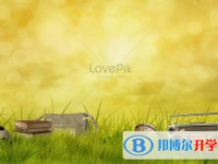 2020年玉溪中考統(tǒng)考成績(jī)