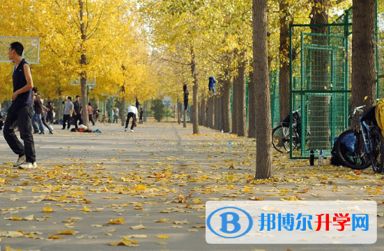長(zhǎng)春盈佳外國(guó)語(yǔ)學(xué)校2020年學(xué)費(fèi)、收費(fèi)多少