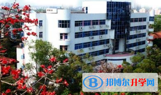 南寧三中國際學校小學部2020年招生辦聯系電話