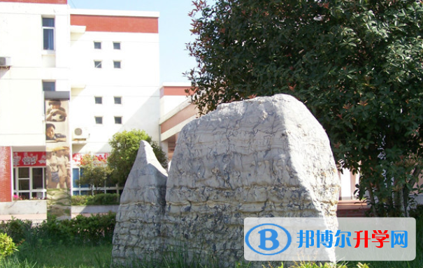 合肥世界外國語學(xué)校2020年學(xué)費(fèi)、收費(fèi)多少