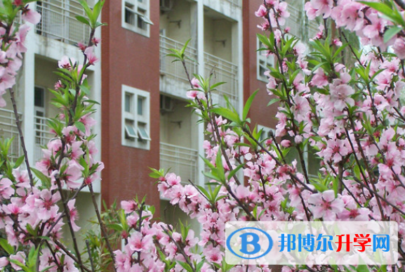 合肥世界外國語學校2020年報名條件、招生要求、招生對象