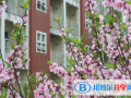 合肥世界外國(guó)語(yǔ)學(xué)校2023年報(bào)名條件、招生要求、招生對(duì)象
