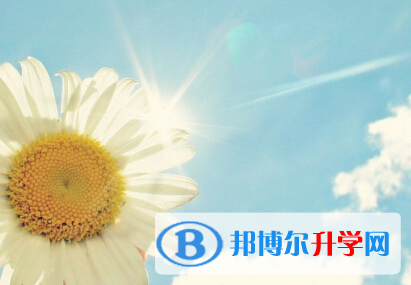  2020年玉溪中考的規則