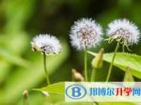 2020年玉溪中考重點復(fù)習(xí)