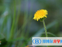 2020年玉溪中考應(yīng)對策略