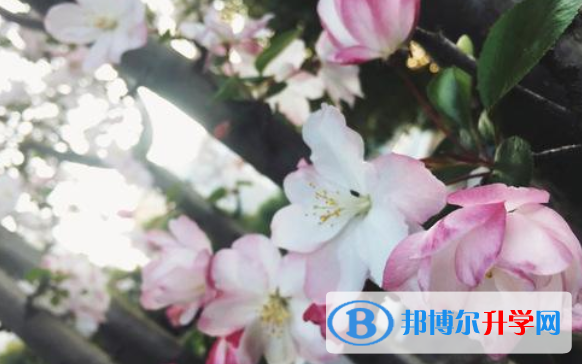 湖北巴東一中國際部2020年學(xué)費、收費多少