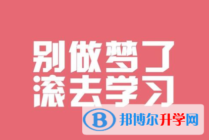  2020年玉溪中考372可以讀的學校
