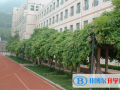煙臺外國語實驗學(xué)校2023年招生計劃
