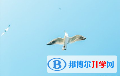  2020年保山中考考試時間