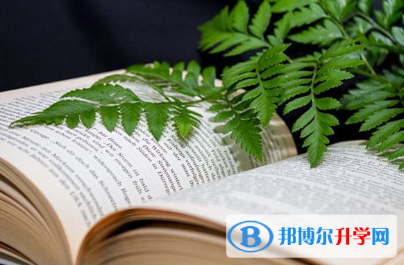  2020年保山中考服務(wù)應(yīng)用平臺