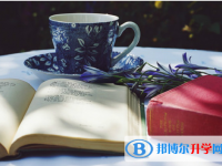 2020年保山中考成績(jī)?cè)鯓硬樵? /><b>2020年保山中考成績(jī)?cè)鯓硬樵?/b><span>2020-08-07 10:06</span><p>同學(xué)們只要記住，成績(jī)只是大家這三年努力學(xué)習(xí)成果的一個(gè)代表，并不是所有，大家是打開(kāi)書(shū)本來(lái)了解世界的另一面，但書(shū)里的知識(shí)可以</p></a></h3></li>
<li><h3><a href=