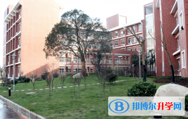 南京外國語學校大行宮校區2020年招生辦聯系電話
