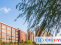 上海復旦大學附屬中學國際部2023年報名條件、招生要求、招生對象