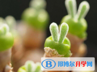 2020年麗江這次中考多久結束