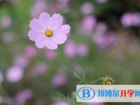 2020年麗江中考網上志愿如何打印