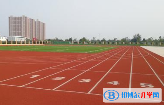 石家莊第十七中學國際班2020年學費、收費多少