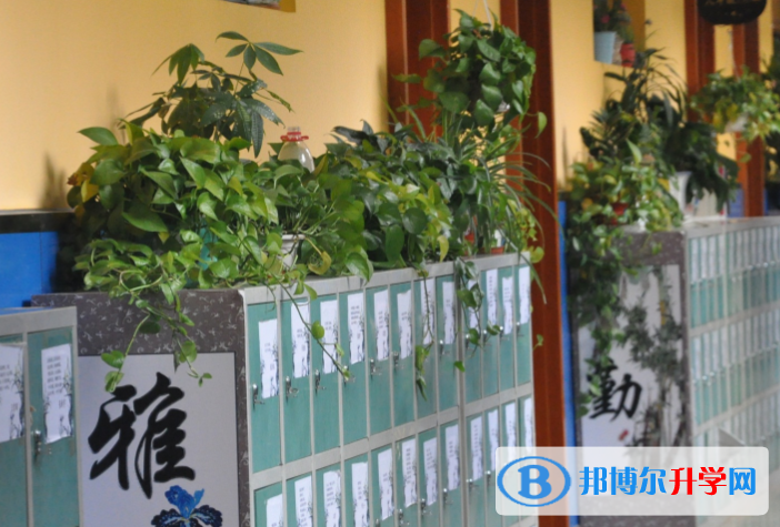 北京陳經綸中學國際部2023年報名條件、招生要求、招生對象