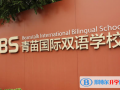 北京青苗國際雙語學(xué)校2023年招生簡章