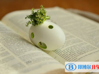 2020年思茅中考服務(wù)平臺(tái)