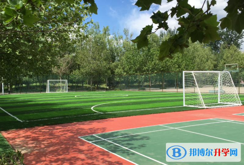 北京中關村國際學校2023年招生簡章