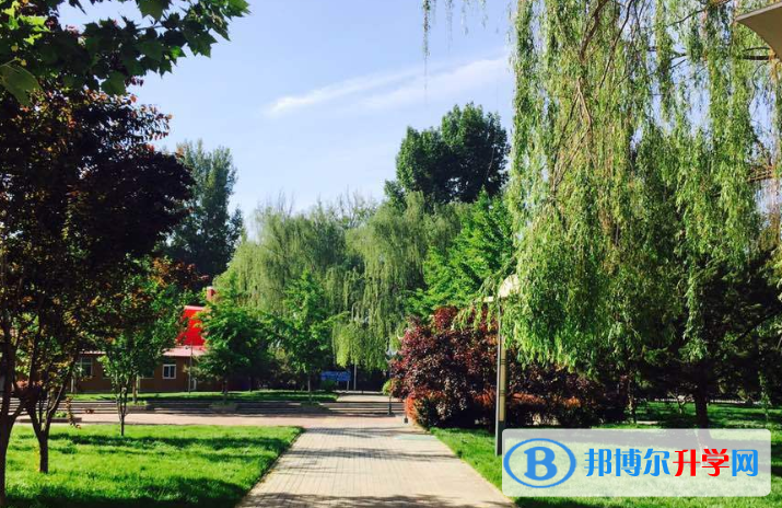 北京中關村國際學校網站網址 
