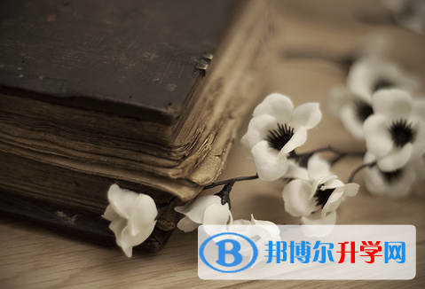  2020年臨滄中考網絡服務平臺