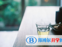 2020年臨滄中考網(wǎng)報(bào)
