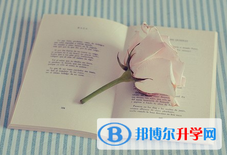  2020年臨滄中考統考成績