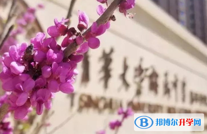 清華大學(xué)附屬中學(xué)國(guó)際部怎么樣、好不好