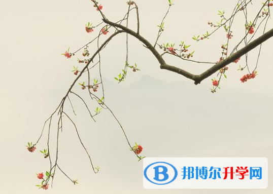  2021年臨滄中考自主招生考試學校