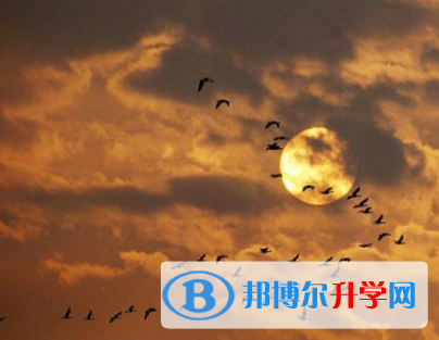  2021年臨滄中考自主招生報(bào)名