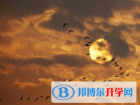 2021年臨滄中考自主招生報(bào)名