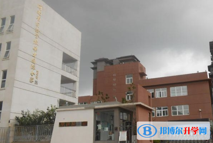河南實驗學校英才國際小學2021年學費、收費多少