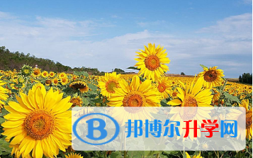 2021年寶雞中考成績查詢入口