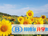 2021年寶雞中考成績查詢?nèi)肟? /><b>2021年寶雞中考成績查詢?nèi)肟?/b><span>2020-09-23 10:33</span><p>中考著實是一種豐收，它包蘊著太多的內(nèi)涵。中考是人生的第一個分岔口，不同的人生選擇，你走的道路就會不一樣，有些人走的是康莊</p></a></h3></li>
<li><h3><a href=