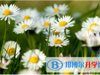 2021年寶雞中考成績?nèi)绾尾樵? /><b>2021年寶雞中考成績?nèi)绾尾樵?/b><span>2020-09-23 16:14</span><p>人總是在經(jīng)過千錘百煉之后變得強大，所有在中考前大家也是經(jīng)過了備考的幾次模擬考試來鍛煉了膽量。中考是人生的必須選擇，那么為</p></a></h3></li>
<li><h3><a href=