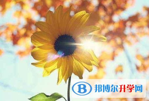 2021年寶雞中考后幾天出成績(jī)