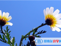 2021年寶雞中考考號查詢