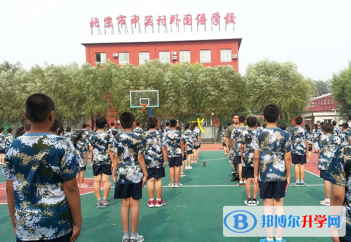 北京中關村外國語學校國際部2023年招生簡章