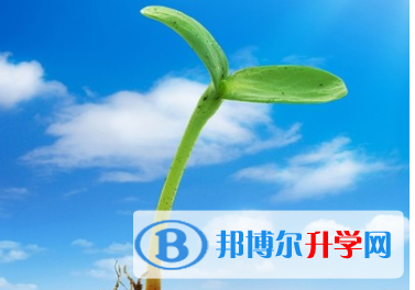 2021年寶雞如何填中考學校